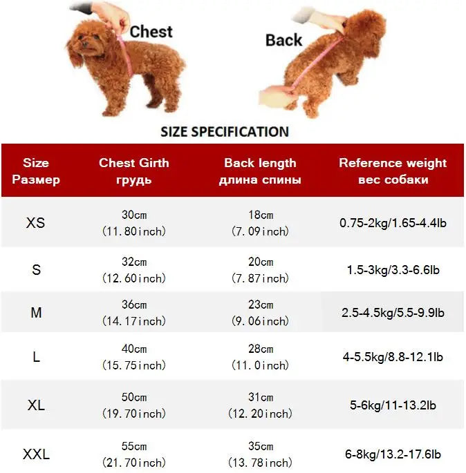 Premium Cat Denim Vest - Stylish Spring & Autumn Jacket for Cats