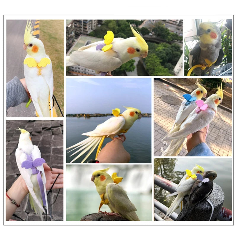 Adjustable Parrot Bird Harness & Leash Set - Anti-Bite Training Rope for Small Birds