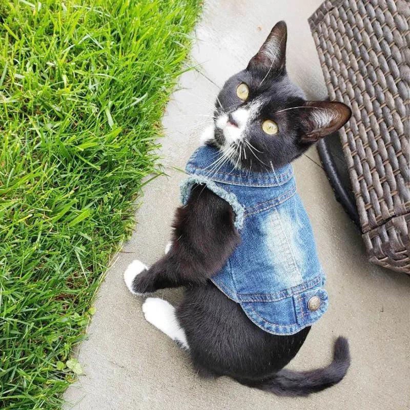 Premium Cat Denim Vest - Stylish Spring & Autumn Jacket for Cats