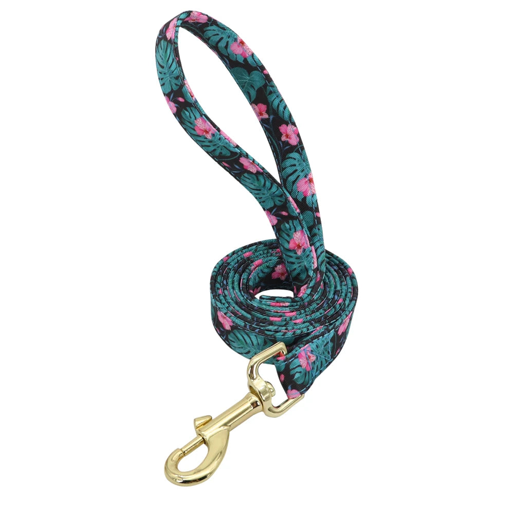 Personalized Dog Collar and Leash Set - Custom Engraved ID Collar