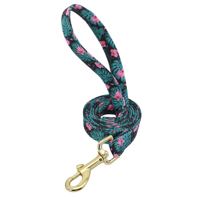 Personalized Dog Collar and Leash Set - Custom Engraved ID Collar