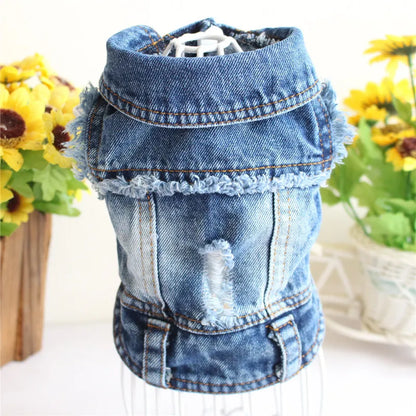 Premium Cat Denim Vest - Stylish Spring & Autumn Jacket for Cats