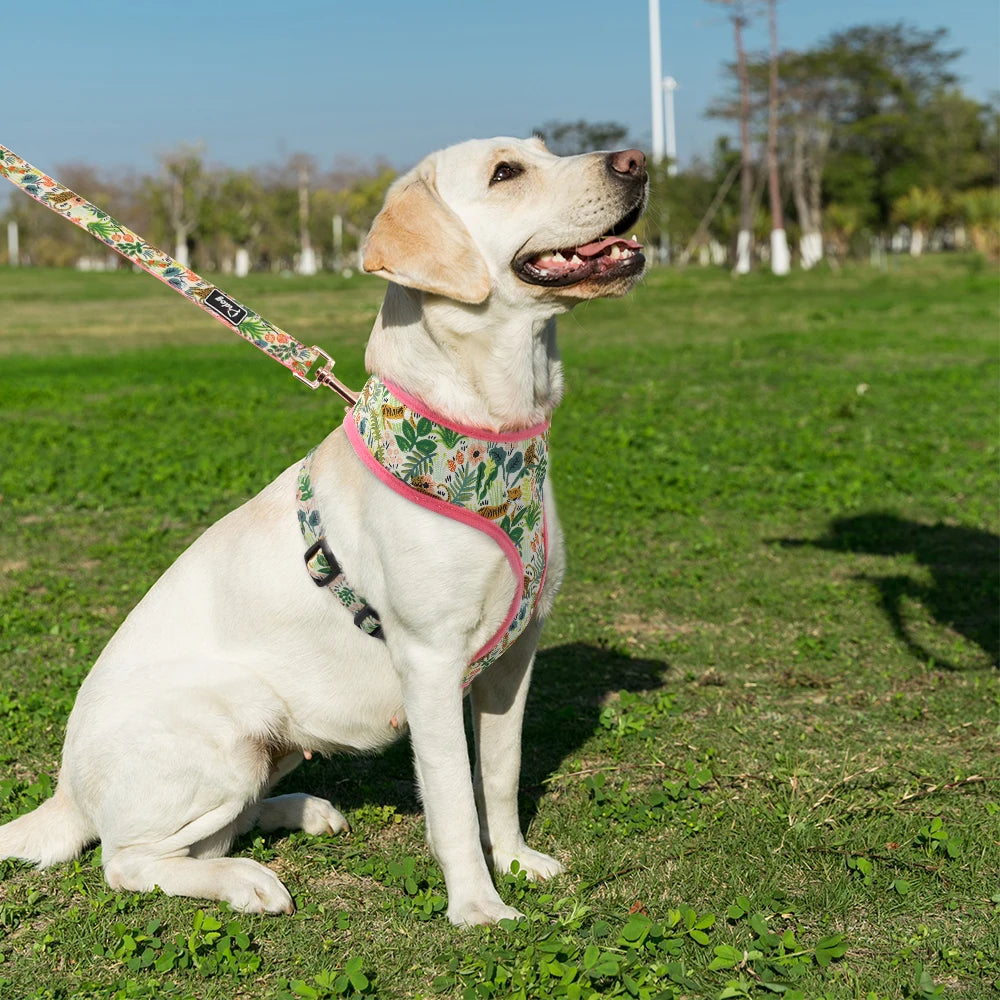 Floral Print Dog Harness and Leash Set - Adjustable Comfort Vest for Small to Large Dogs