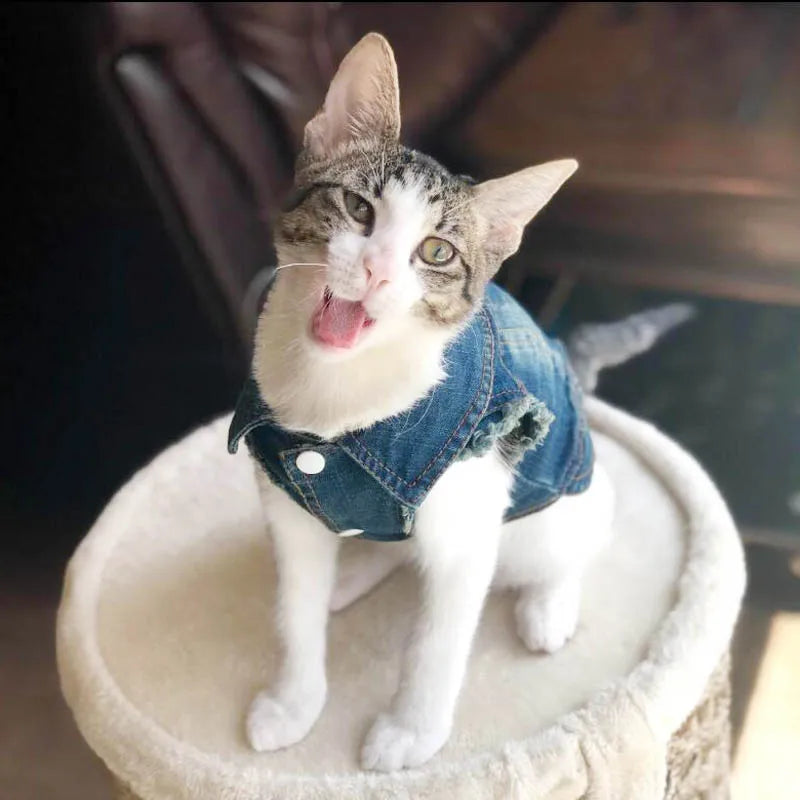 Premium Cat Denim Vest - Stylish Spring & Autumn Jacket for Cats