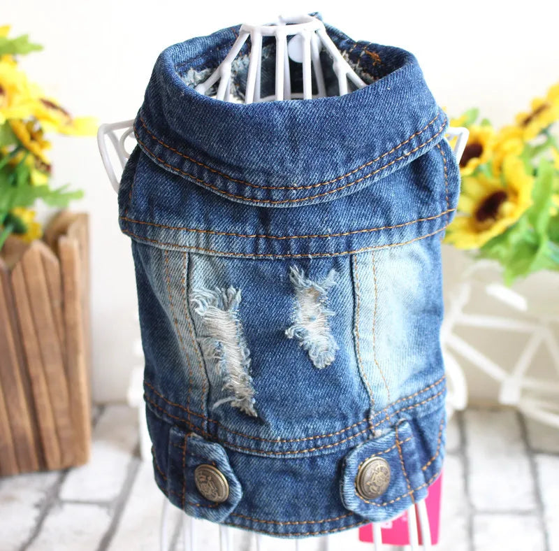 Premium Cat Denim Vest - Stylish Spring & Autumn Jacket for Cats