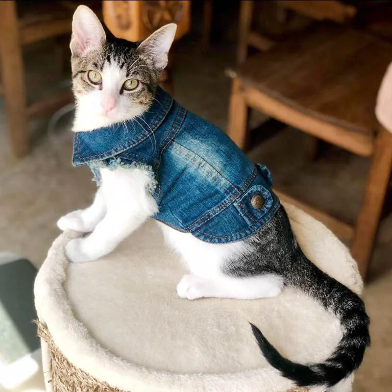 Premium Cat Denim Vest - Stylish Spring & Autumn Jacket for Cats