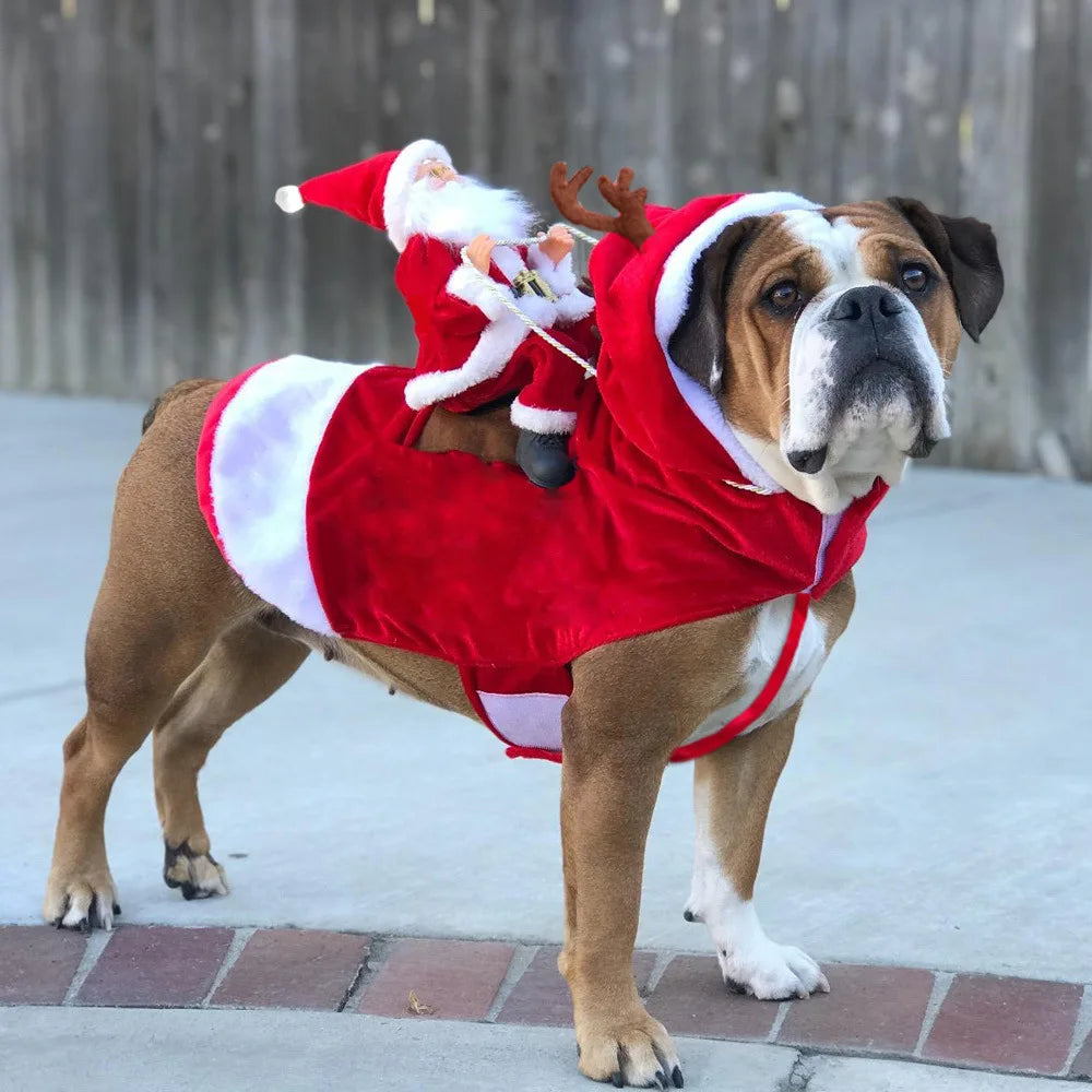 Christmas Santa Dog Costume - Festive Holiday Pet Outfit for Dogs & Cats