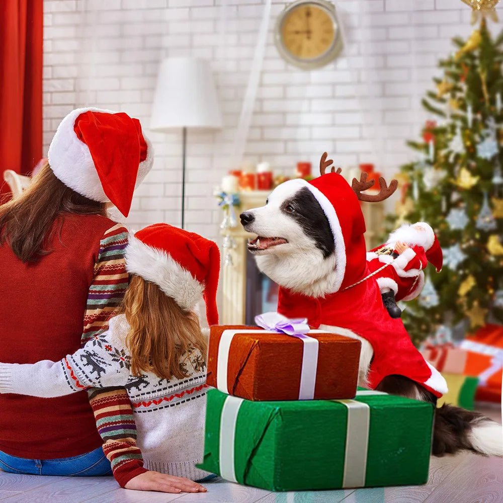 Christmas Santa Dog Costume - Festive Holiday Pet Outfit for Dogs & Cats
