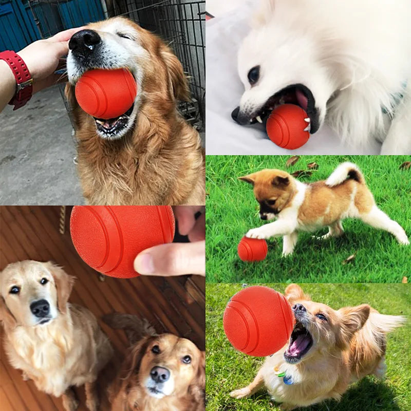 Durable Rubber Dog Ball - Bite-Resistant Interactive Toy for Small to Large Dogs