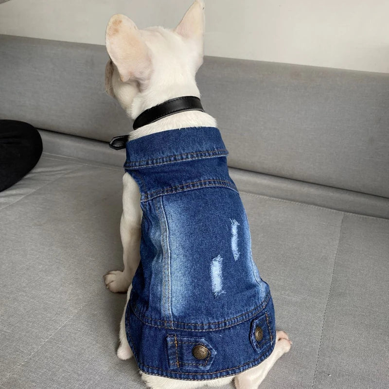 Premium Cat Denim Vest - Stylish Spring & Autumn Jacket for Cats