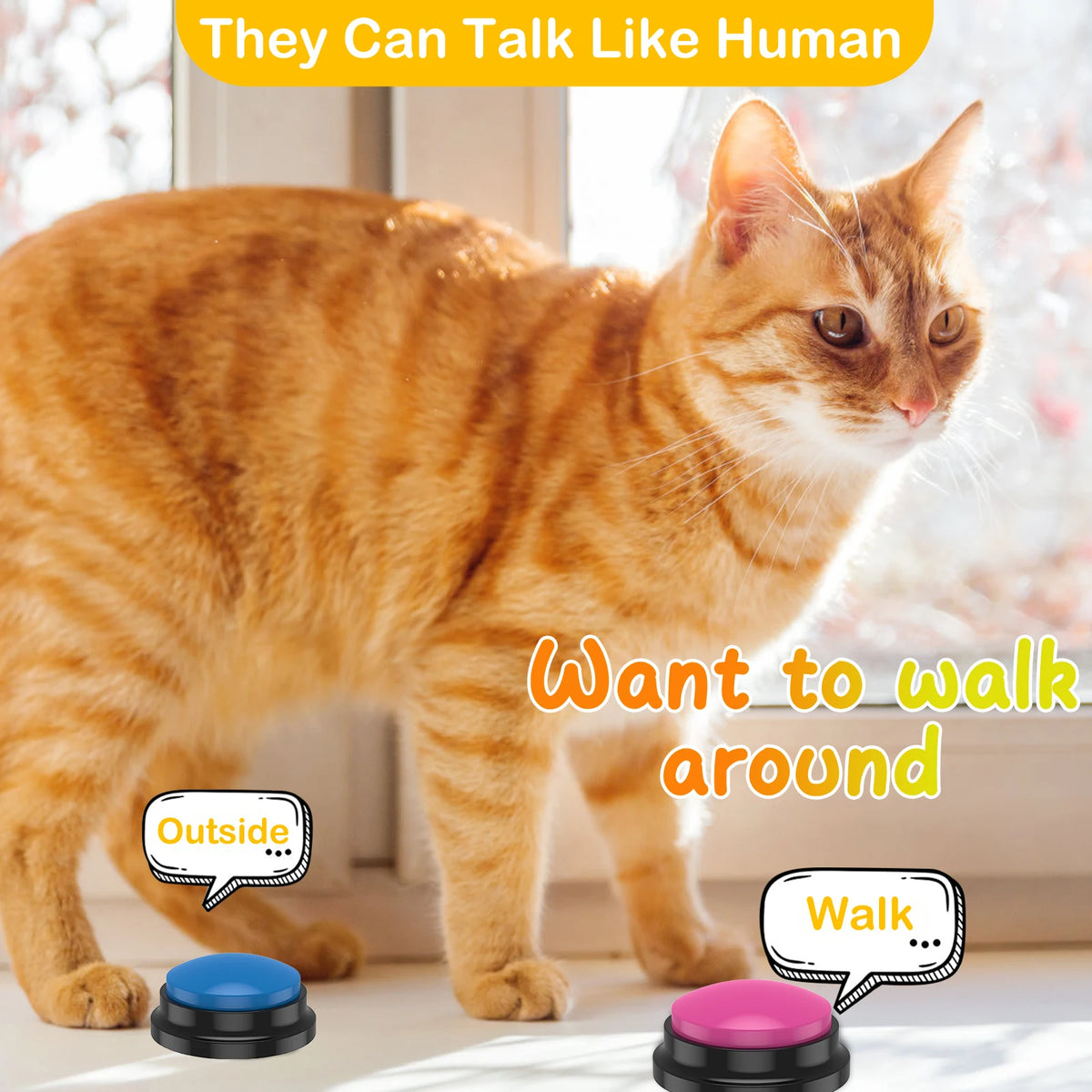Recordable Dog Training Buttons with Light - Interactive Pet Communication Toy