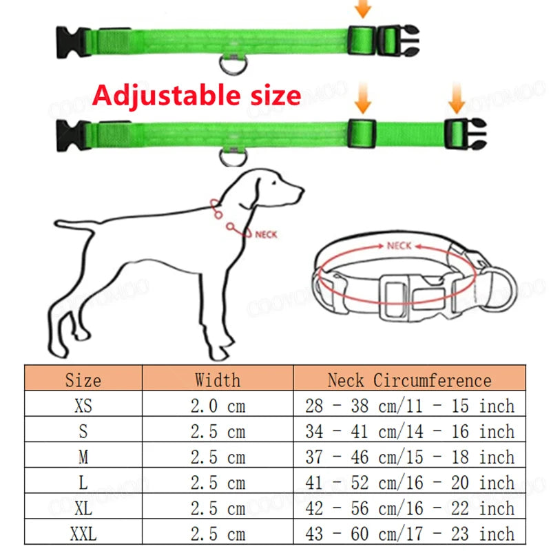 LED USB Rechargeable Dog Collar - Night Safety Light-Up Pet Collar
