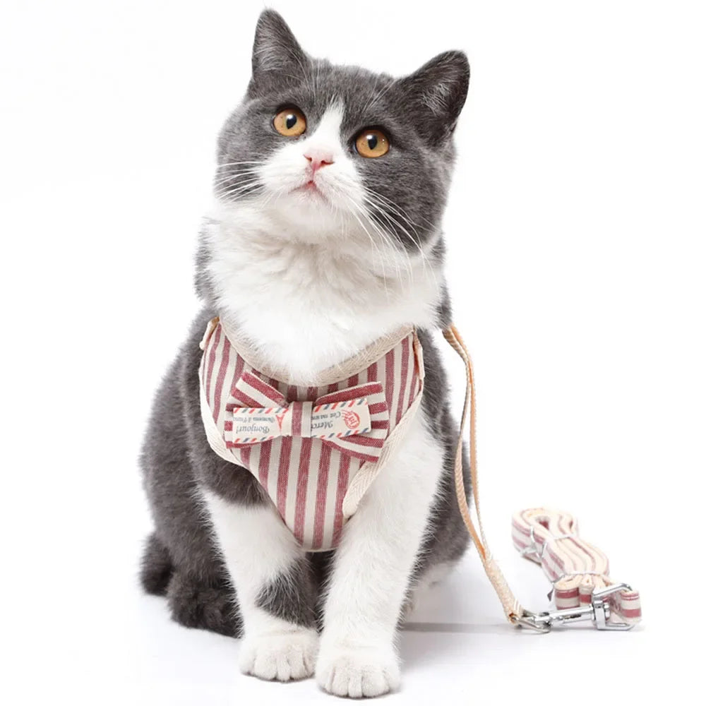 Premium Mesh Cat & Dog Harness with Leash Set