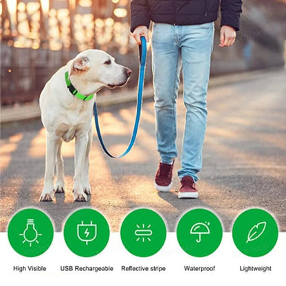 LED USB Rechargeable Dog Collar - Night Safety Light-Up Pet Collar