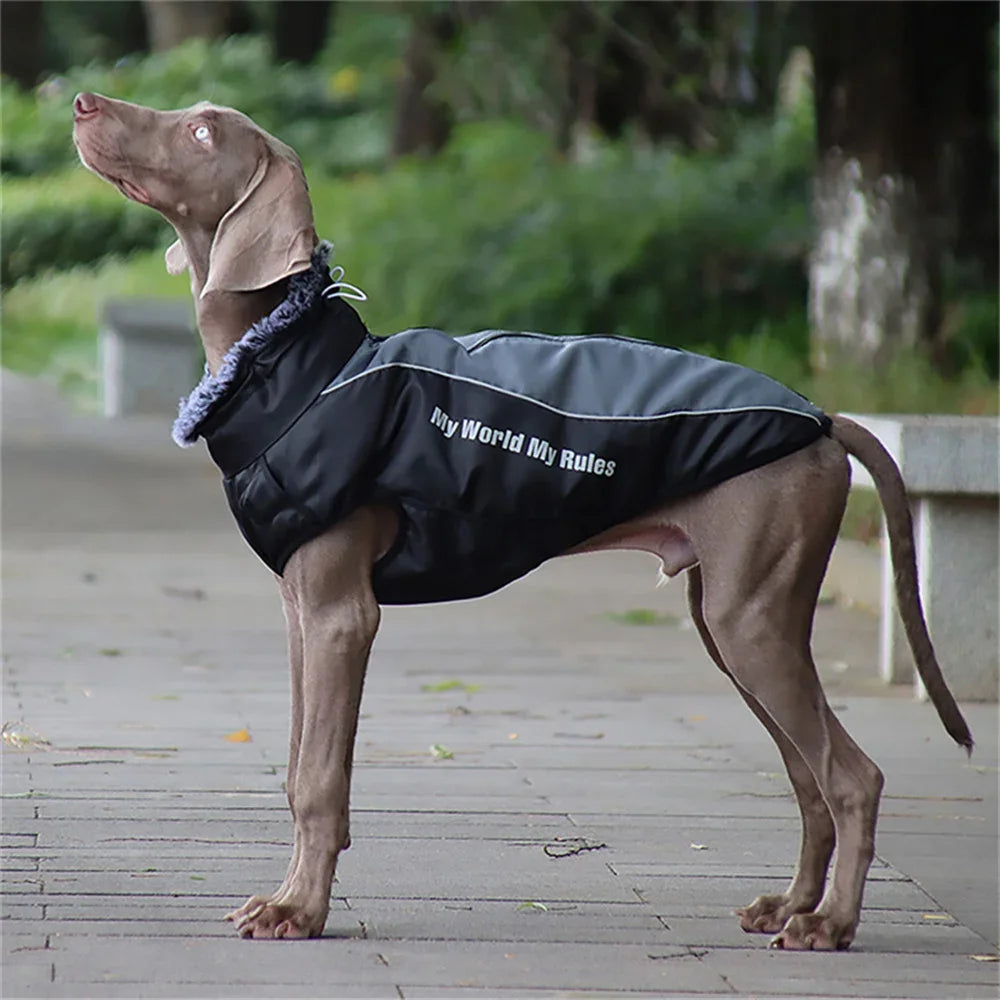 Premium Winter Dog Coat with Fur Collar for Large Dogs
