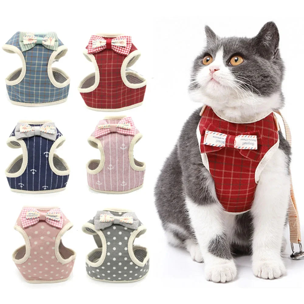 Premium Mesh Cat & Dog Harness with Leash Set