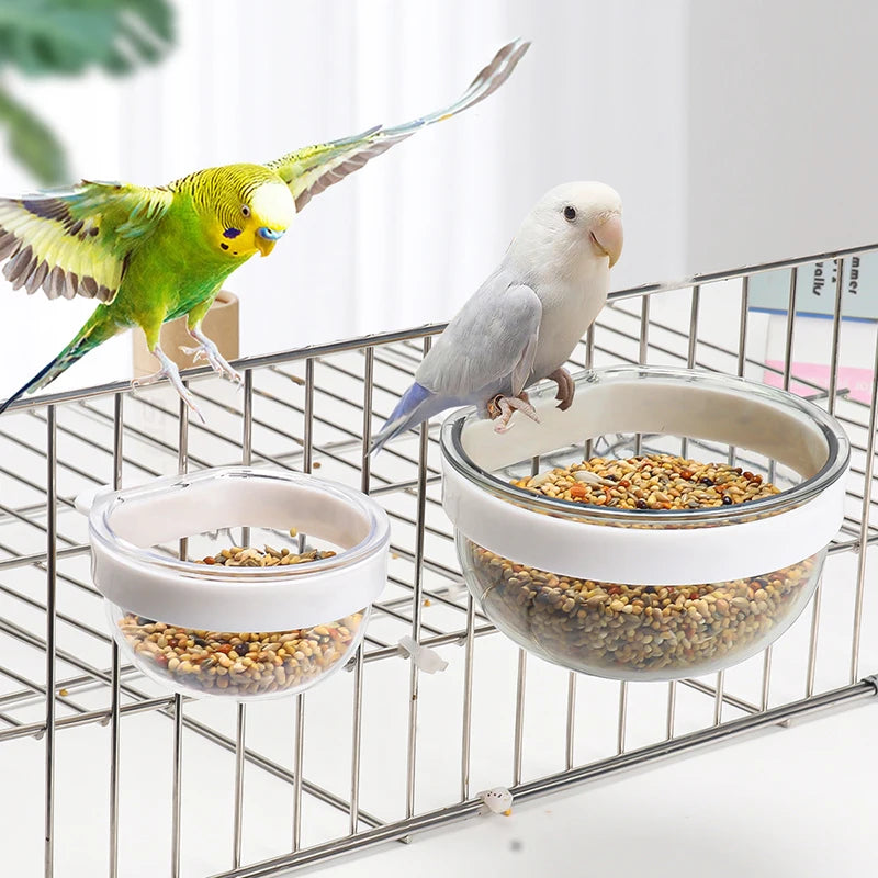Detachable Bird Feeding Bowl - Transparent Hanging Feeder for Parrots & Small Birds