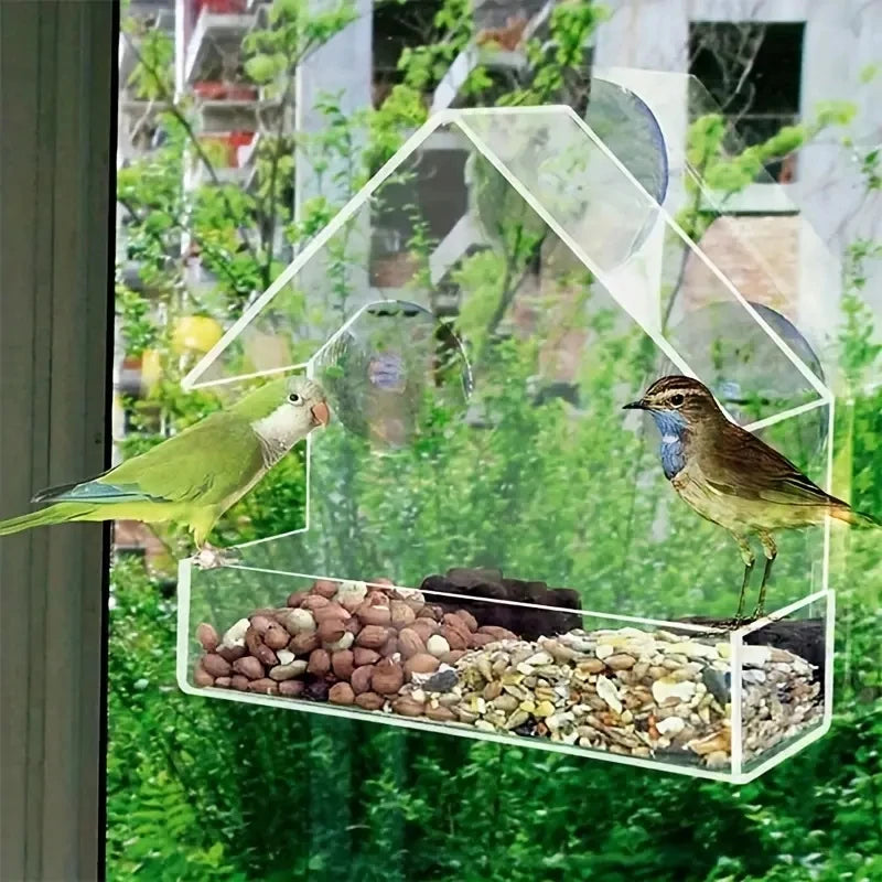 Clear Window Bird Feeder with Suction Cups - Outdoor Hanging Birdhouse