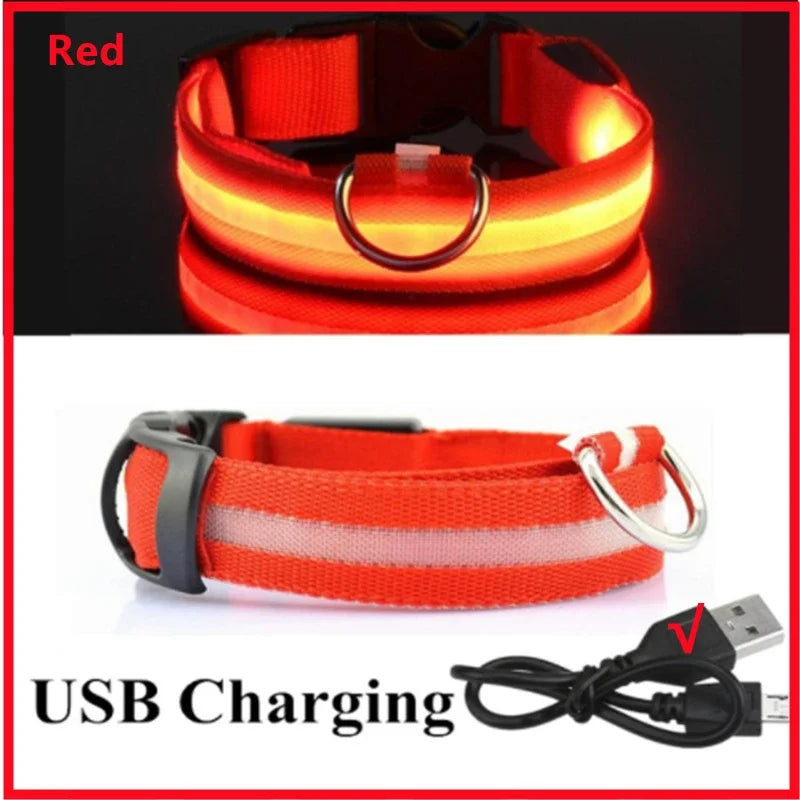LED USB Rechargeable Dog Collar - Night Safety Light-Up Pet Collar