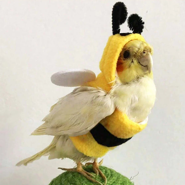 Bird Bee Costume - Soft Cotton Parrot Hoodie for Small Pet Birds