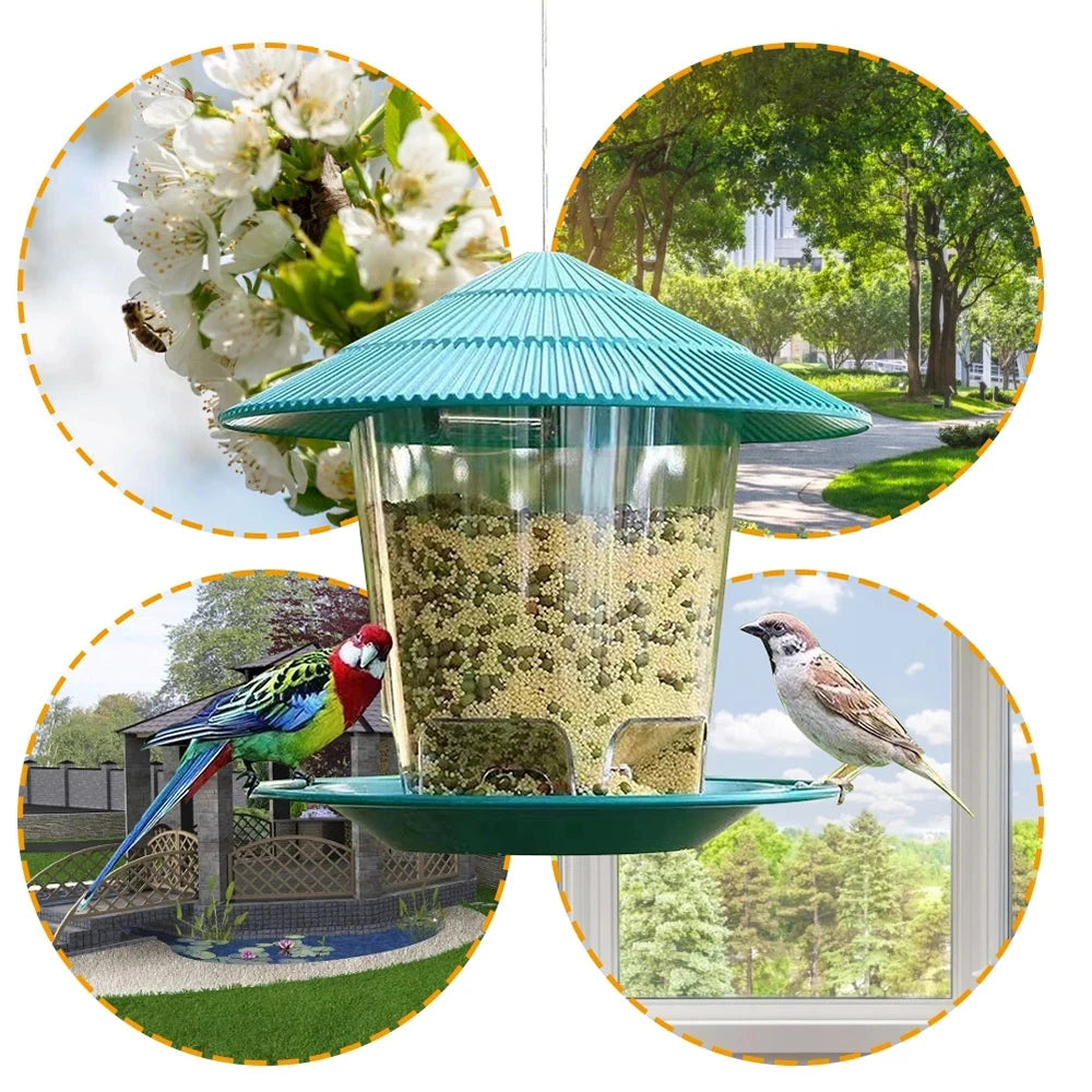 Automatic Foot-Activated Bird Feeder with Multiple Feeding Holes