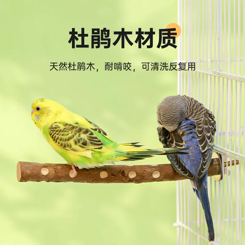 Natural Wood Bird Perch Stand - Branch Fork Perch for Parakeets, Budgies & Cockatiels