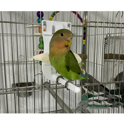Bird Food Holder Clip - Parrot Fruit & Vegetable Feeder for Cage