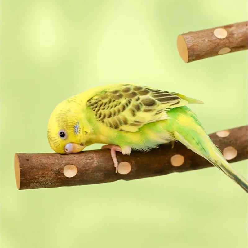 Natural Wood Bird Perch Stand - Branch Fork Perch for Parakeets, Budgies & Cockatiels