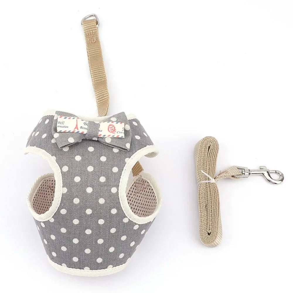 Premium Mesh Cat & Dog Harness with Leash Set