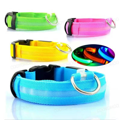 LED USB Rechargeable Dog Collar - Night Safety Light-Up Pet Collar