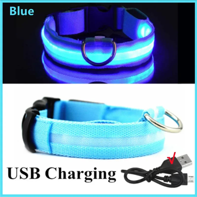LED USB Rechargeable Dog Collar - Night Safety Light-Up Pet Collar