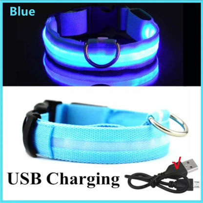 LED USB Rechargeable Dog Collar - Night Safety Light-Up Pet Collar