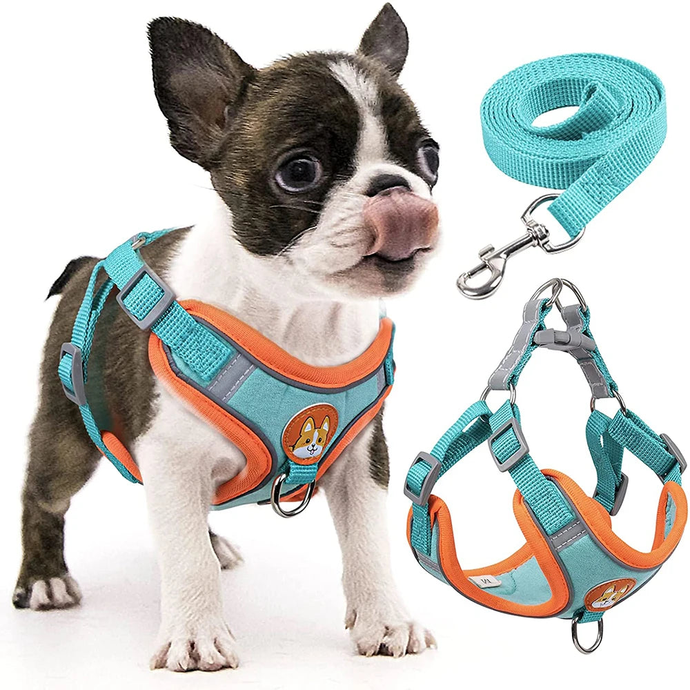 Adjustable Step-In Dog Harness with Reflective Safety Vest & Leash Set