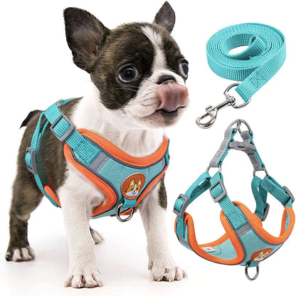 Adjustable Step-In Dog Harness with Reflective Safety Vest & Leash Set