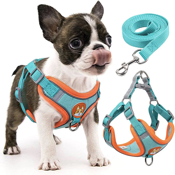 Adjustable Step-In Dog Harness with Reflective Safety Vest & Leash Set