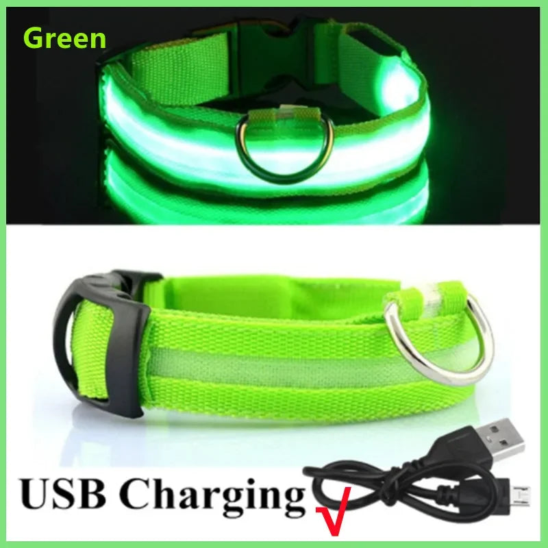 LED USB Rechargeable Dog Collar - Night Safety Light-Up Pet Collar