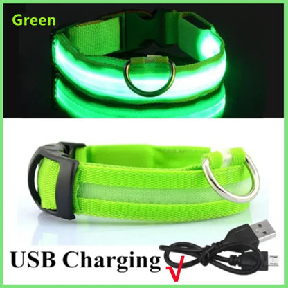 LED USB Rechargeable Dog Collar - Night Safety Light-Up Pet Collar