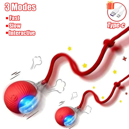 Interactive Cat Ball Toy - Automatic Rolling Smart Pet Toy with Faux Tail
