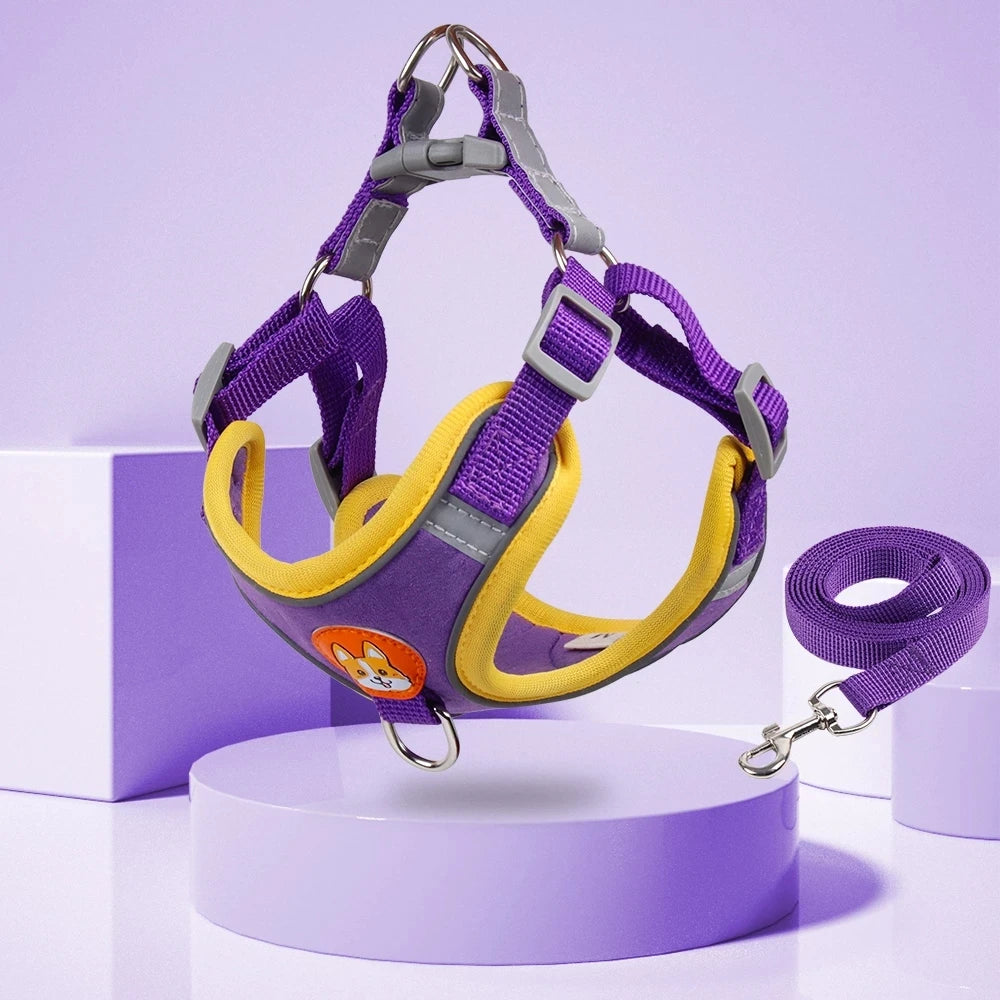 Adjustable Step-In Dog Harness with Reflective Safety Vest & Leash Set