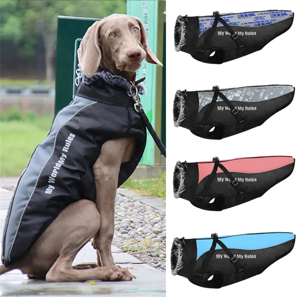 Premium Winter Dog Coat with Fur Collar for Large Dogs