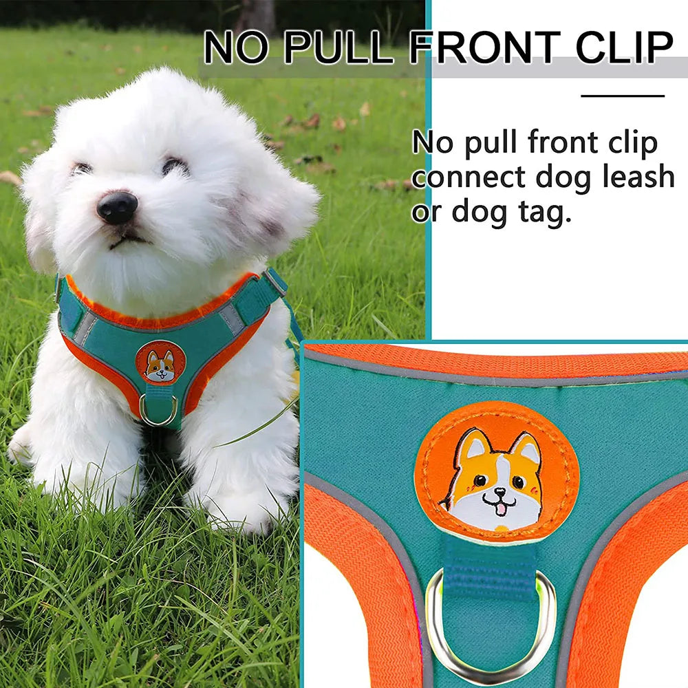 Adjustable Step-In Dog Harness with Reflective Safety Vest & Leash Set