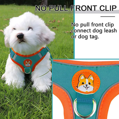 Adjustable Step-In Dog Harness with Reflective Safety Vest & Leash Set
