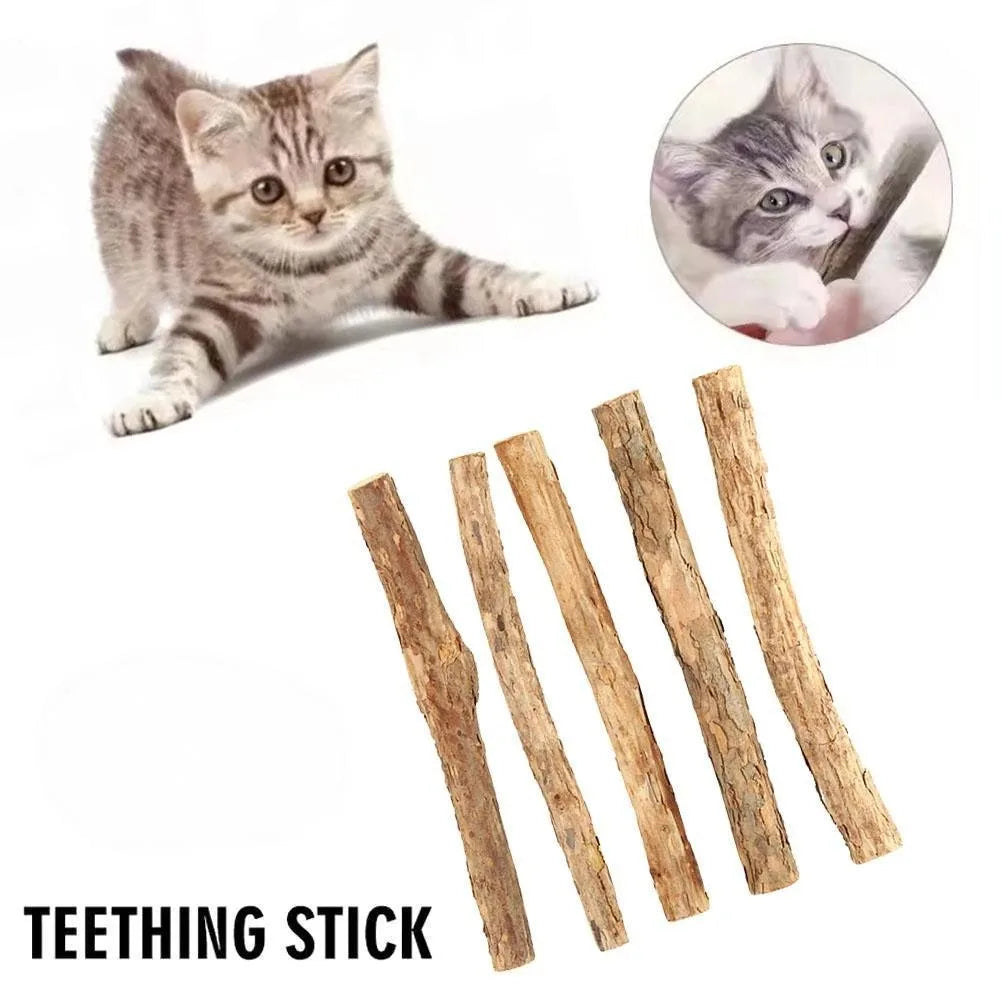 Natural Catnip Sticks for Cats - Molar Chew Toys