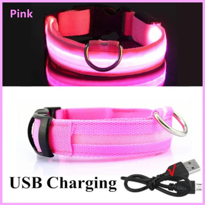 LED USB Rechargeable Dog Collar - Night Safety Light-Up Pet Collar