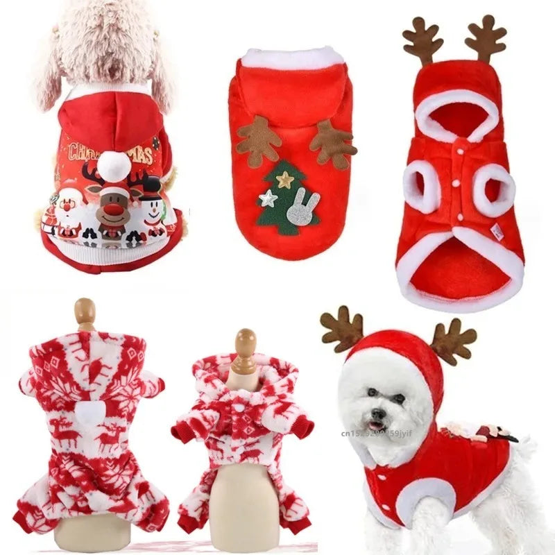 Christmas Santa Pet Costume - Festive Dog & Cat Jacket