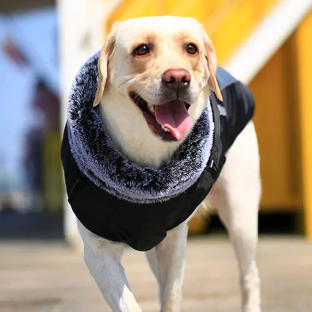 Premium Winter Dog Coat with Fur Collar for Large Dogs
