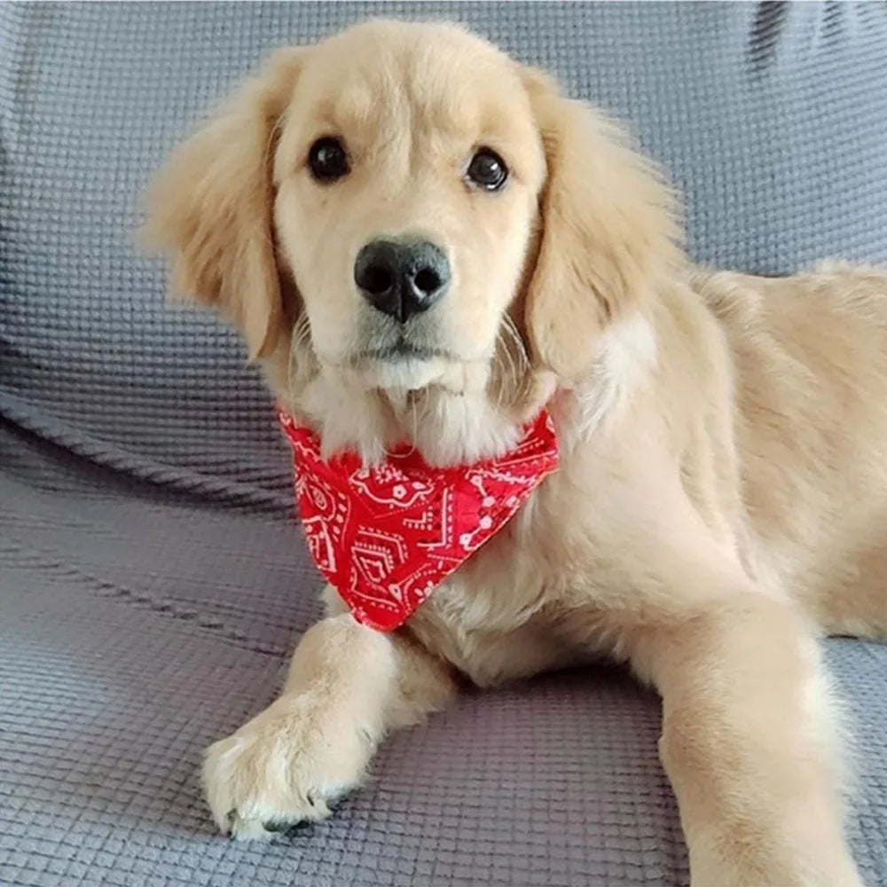 Adjustable Dog Bandana Collar - Stylish Pet Scarf for Dogs & Cats