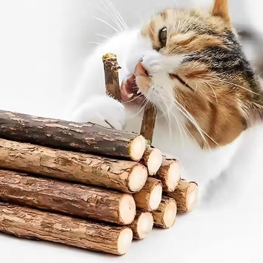Natural Catnip Sticks for Cats - Molar Chew Toys