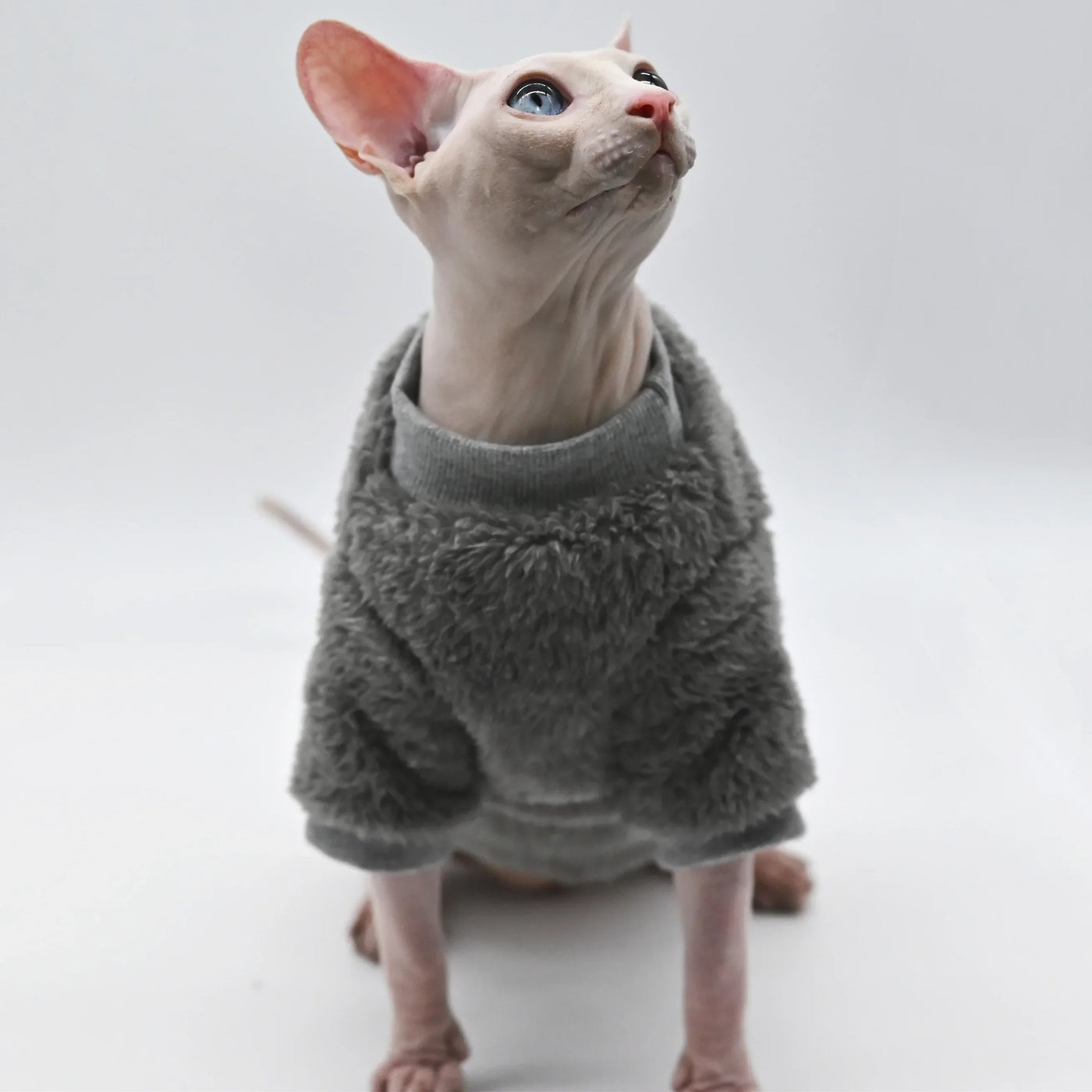 Premium Double-Sided Fleece Winter Jacket for Hairless Cats