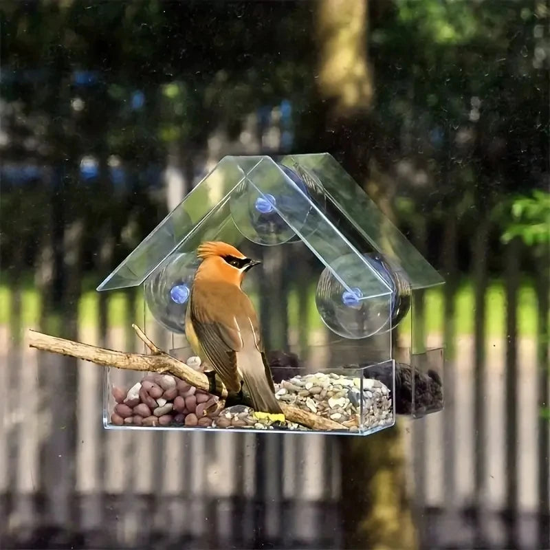 Clear Window Bird Feeder with Suction Cups - Outdoor Hanging Birdhouse